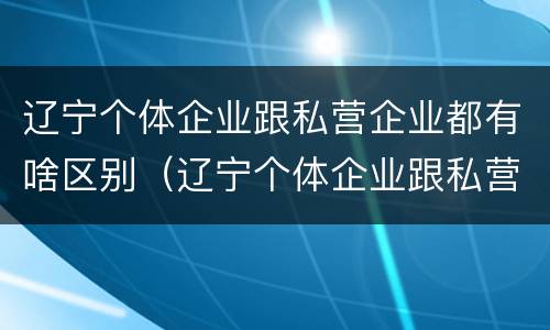 辽宁个体企业跟私营企业都有啥区别（辽宁个体企业跟私营企业都有啥区别呀）