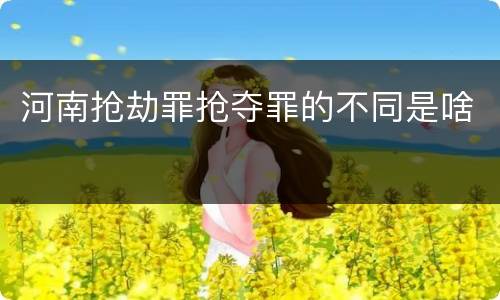 河南抢劫罪抢夺罪的不同是啥