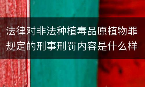 法律对非法种植毒品原植物罪规定的刑事刑罚内容是什么样的