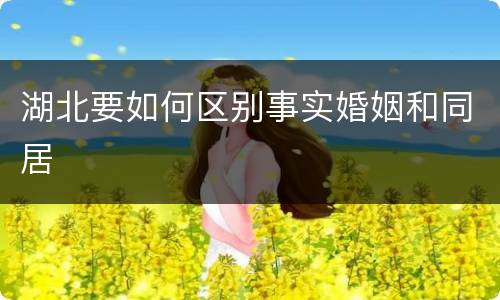 湖北要如何区别事实婚姻和同居