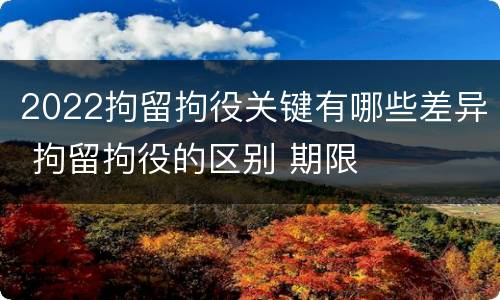 2022拘留拘役关键有哪些差异 拘留拘役的区别 期限