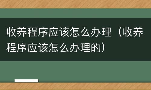 收养程序应该怎么办理（收养程序应该怎么办理的）