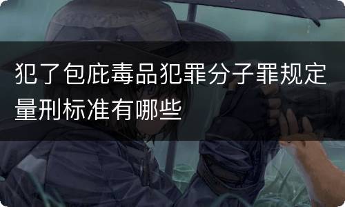 犯了包庇毒品犯罪分子罪规定量刑标准有哪些