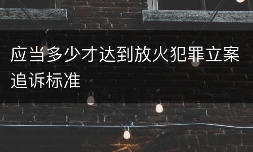 应当多少才达到放火犯罪立案追诉标准