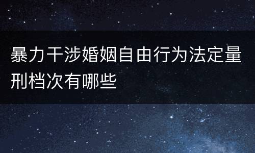 暴力干涉婚姻自由行为法定量刑档次有哪些
