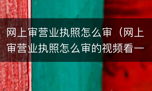 网上审营业执照怎么审（网上审营业执照怎么审的视频看一下）
