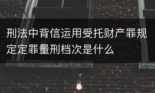 刑法中背信运用受托财产罪规定定罪量刑档次是什么