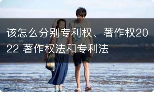 该怎么分别专利权、著作权2022 著作权法和专利法