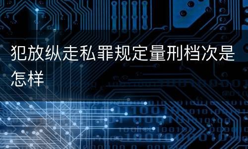 犯放纵走私罪规定量刑档次是怎样