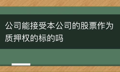 公司能接受本公司的股票作为质押权的标的吗