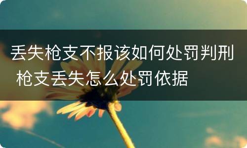 丢失枪支不报该如何处罚判刑 枪支丢失怎么处罚依据