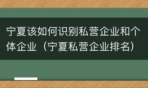 宁夏该如何识别私营企业和个体企业（宁夏私营企业排名）