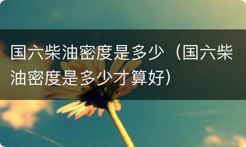 国六柴油密度是多少（国六柴油密度是多少才算好）