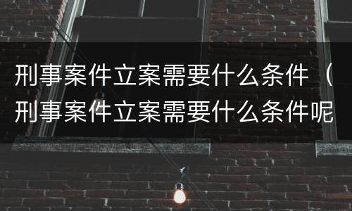 刑事案件立案需要什么条件（刑事案件立案需要什么条件呢）