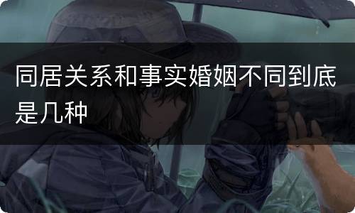 同居关系和事实婚姻不同到底是几种