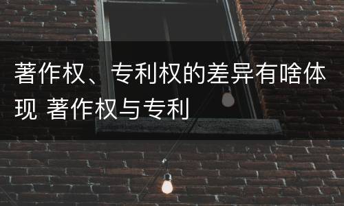 著作权、专利权的差异有啥体现 著作权与专利