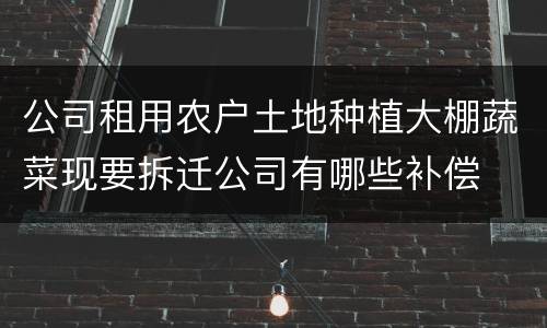 公司租用农户土地种植大棚蔬菜现要拆迁公司有哪些补偿