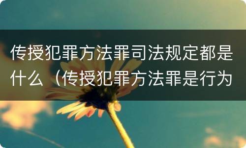 传授犯罪方法罪司法规定都是什么（传授犯罪方法罪是行为犯吗）