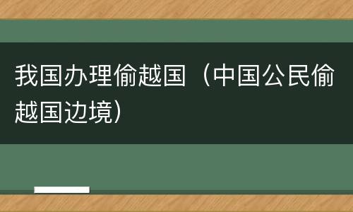 我国办理偷越国（中国公民偷越国边境）