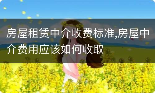 房屋租赁中介收费标准,房屋中介费用应该如何收取