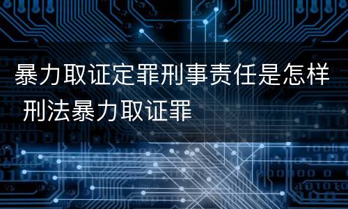 暴力取证定罪刑事责任是怎样 刑法暴力取证罪