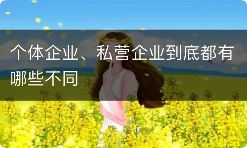 个体企业、私营企业到底都有哪些不同
