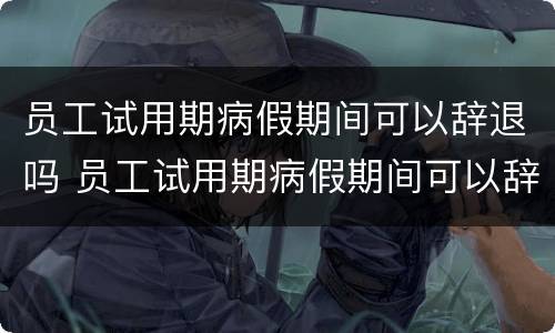 员工试用期病假期间可以辞退吗 员工试用期病假期间可以辞退吗合法吗