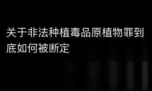 关于非法种植毒品原植物罪到底如何被断定