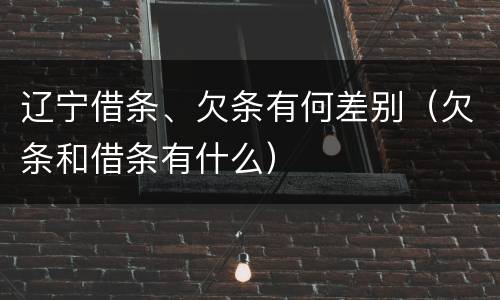 辽宁借条、欠条有何差别（欠条和借条有什么）