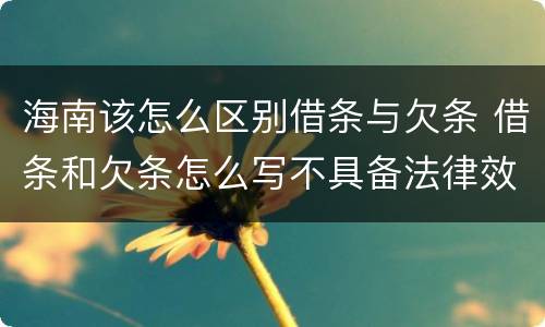 海南该怎么区别借条与欠条 借条和欠条怎么写不具备法律效应