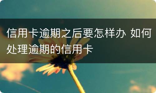 信用卡逾期之后要怎样办 如何处理逾期的信用卡