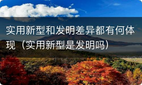 实用新型和发明差异都有何体现（实用新型是发明吗）