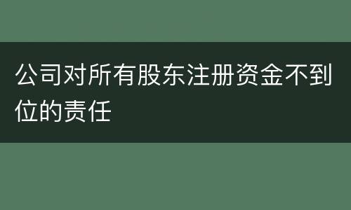 公司对所有股东注册资金不到位的责任