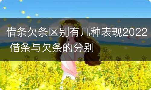 借条欠条区别有几种表现2022 借条与欠条的分别