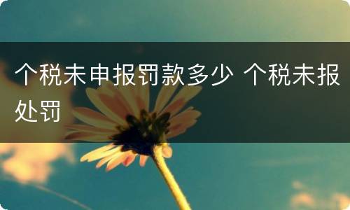 个税未申报罚款多少 个税未报处罚