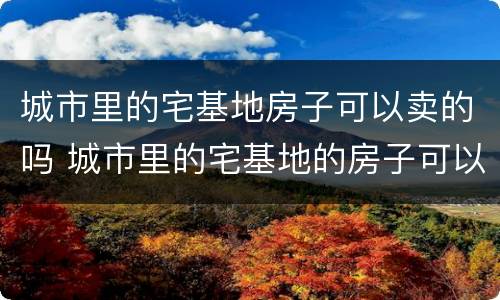 城市里的宅基地房子可以卖的吗 城市里的宅基地的房子可以买卖吗