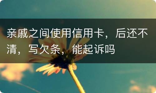 亲戚之间使用信用卡，后还不清，写欠条，能起诉吗