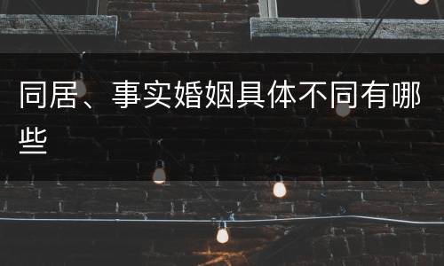 同居、事实婚姻具体不同有哪些