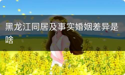 黑龙江同居及事实婚姻差异是啥