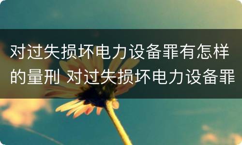 对过失损坏电力设备罪有怎样的量刑 对过失损坏电力设备罪有怎样的量刑标准