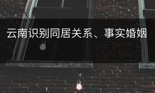 云南识别同居关系、事实婚姻