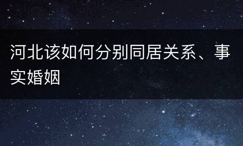 河北该如何分别同居关系、事实婚姻