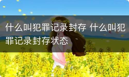 什么叫犯罪记录封存 什么叫犯罪记录封存状态