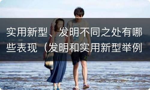实用新型、发明不同之处有哪些表现（发明和实用新型举例）