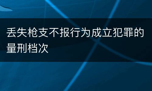 丢失枪支不报行为成立犯罪的量刑档次