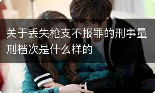 关于丢失枪支不报罪的刑事量刑档次是什么样的