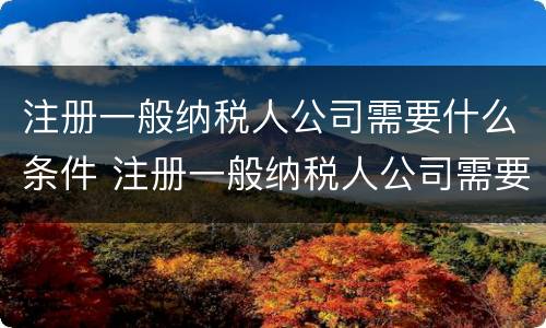 注册一般纳税人公司需要什么条件 注册一般纳税人公司需要什么条件呢