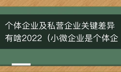 个体企业及私营企业关键差异有啥2022（小微企业是个体企业还是私营企业）