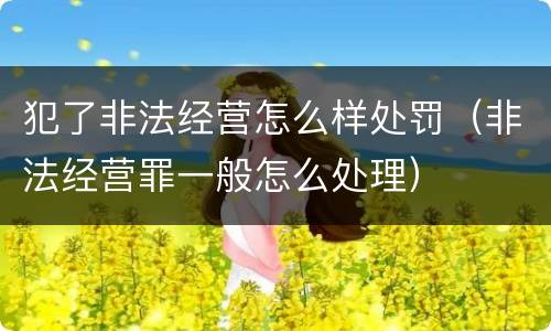 犯了非法经营怎么样处罚（非法经营罪一般怎么处理）