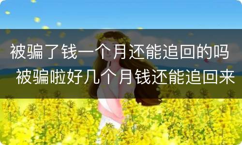 被骗了钱一个月还能追回的吗 被骗啦好几个月钱还能追回来吗